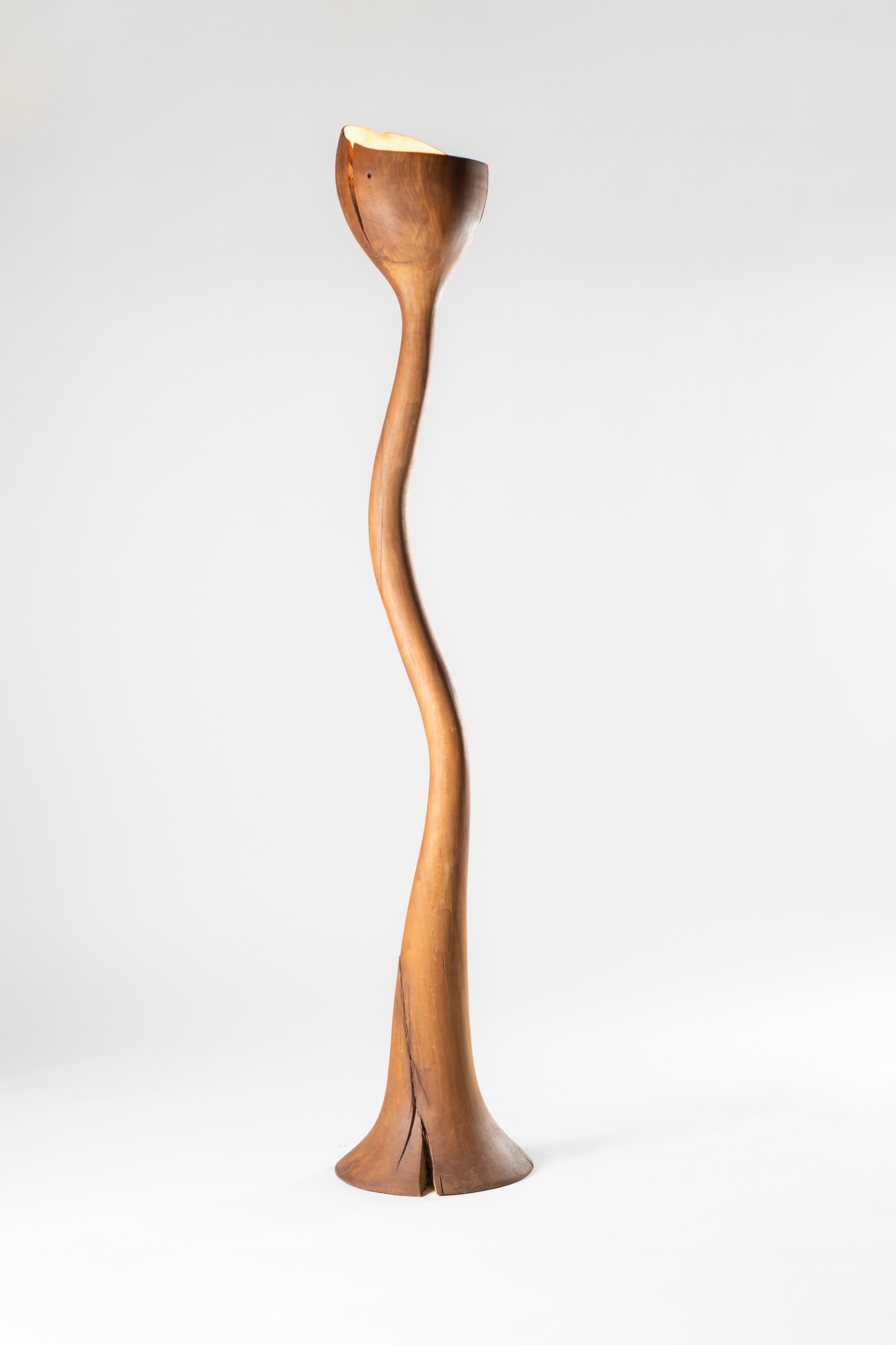 Meso lamp