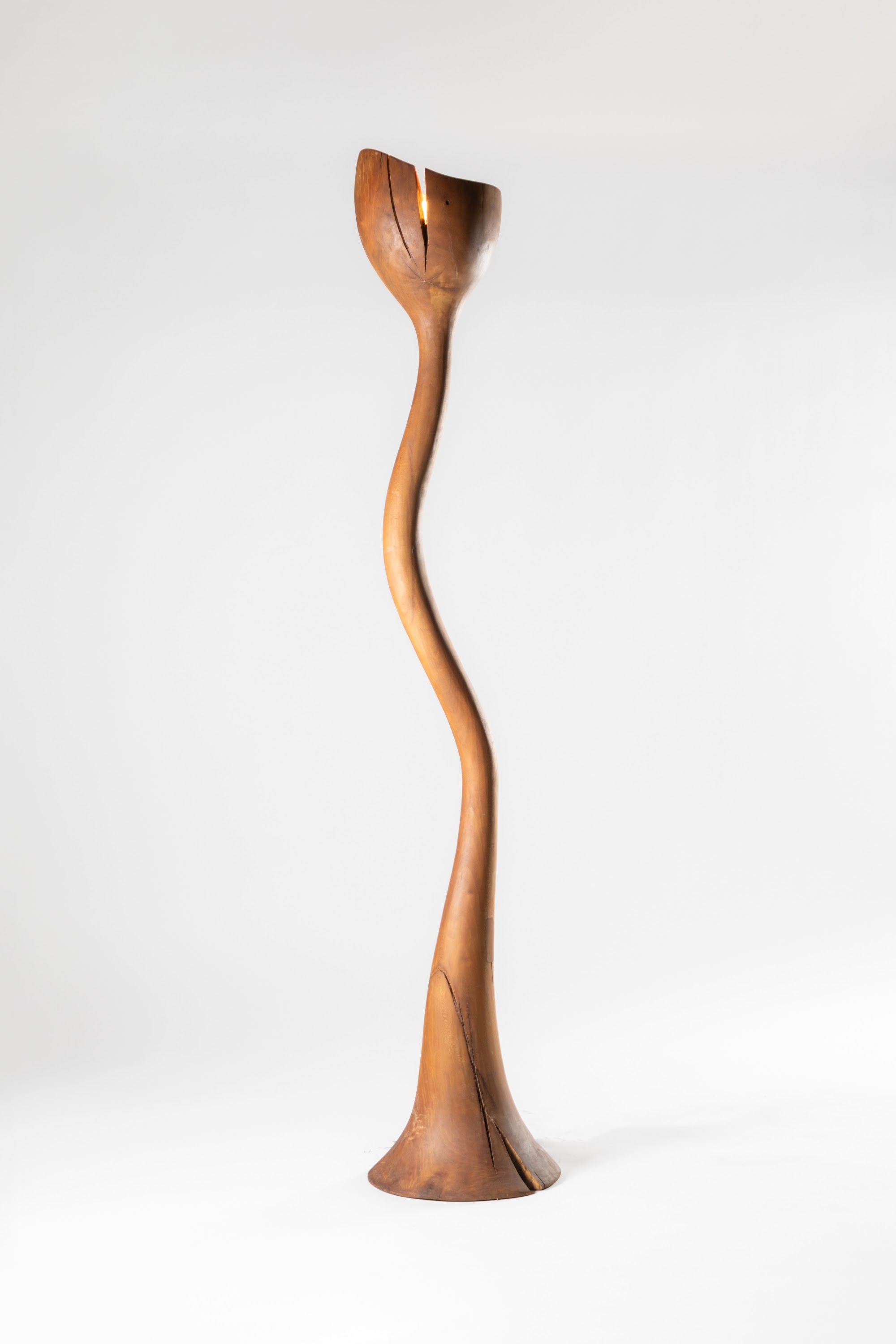 Meso lamp