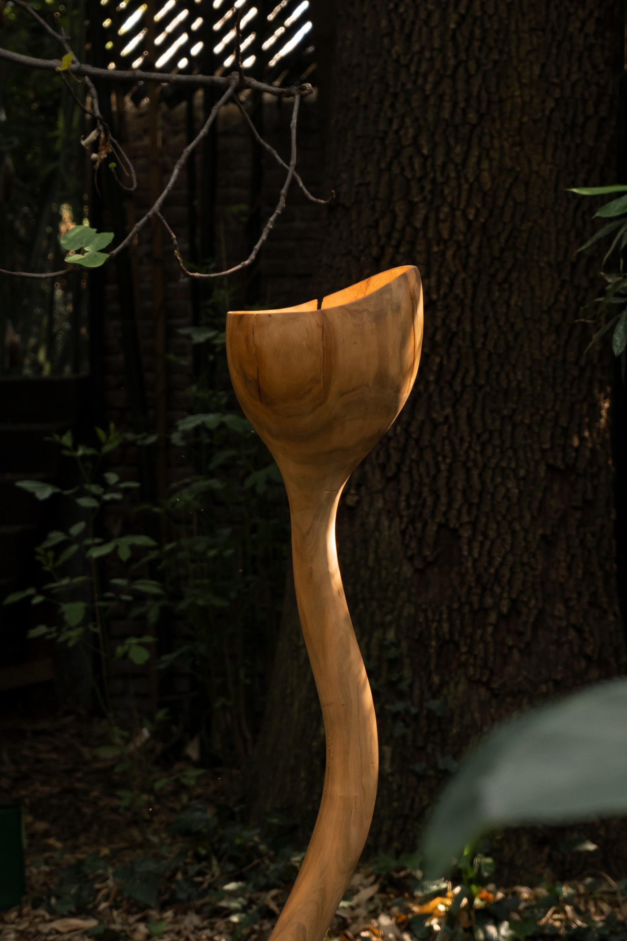 Meso lamp