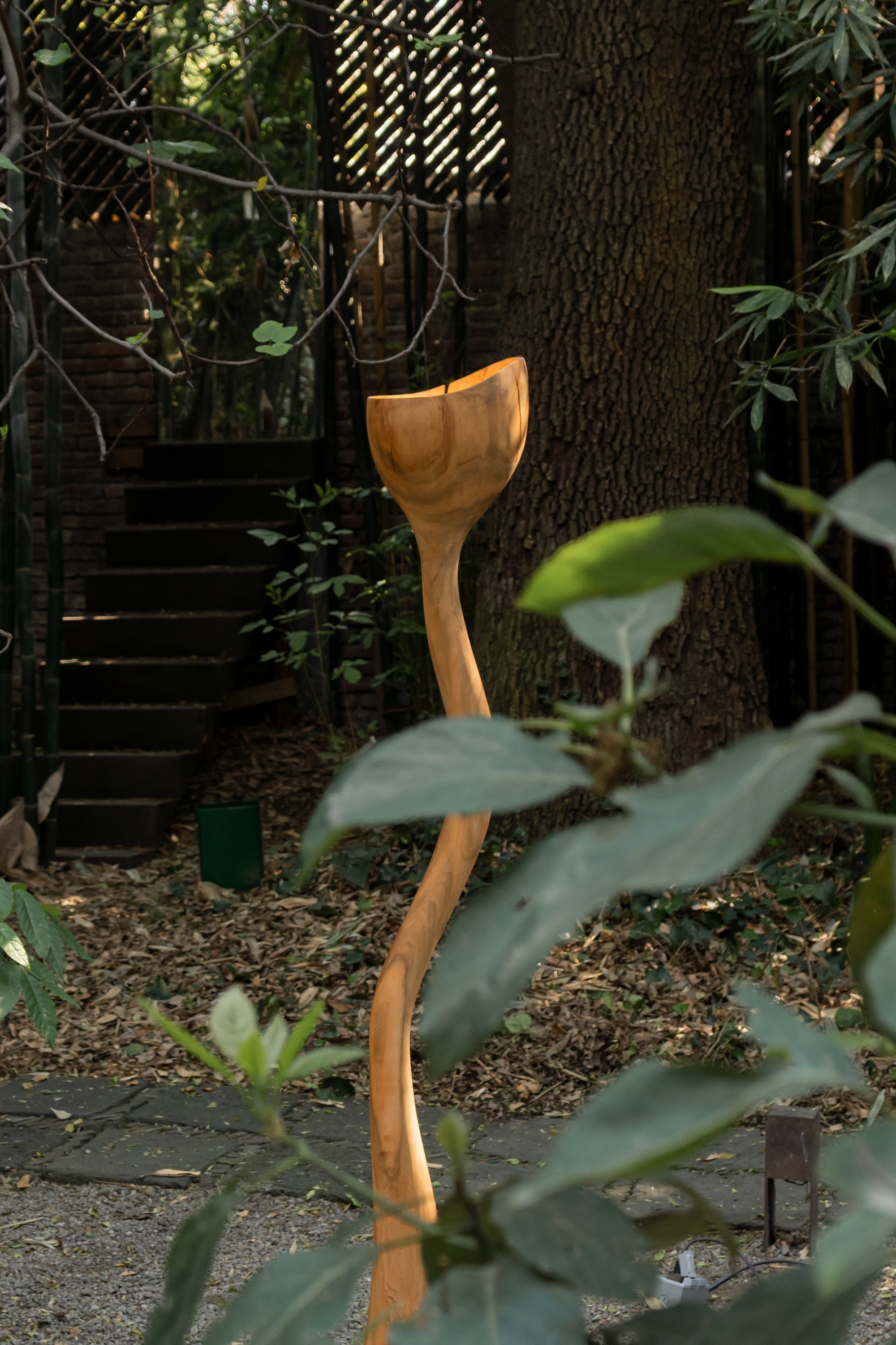 Meso lamp