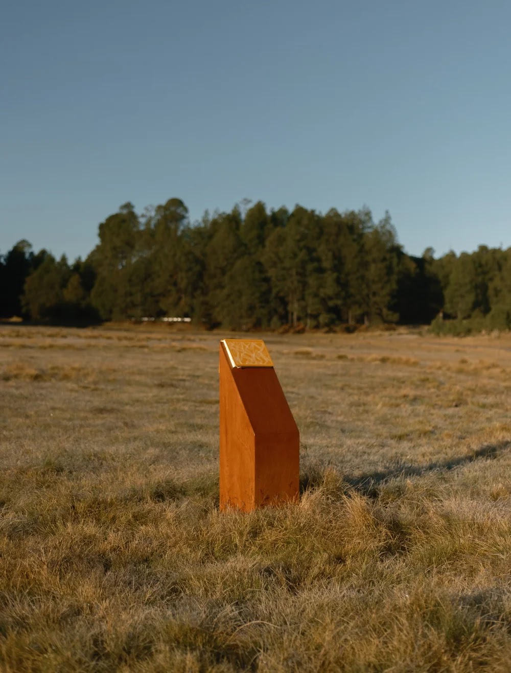 Totem #2 for book