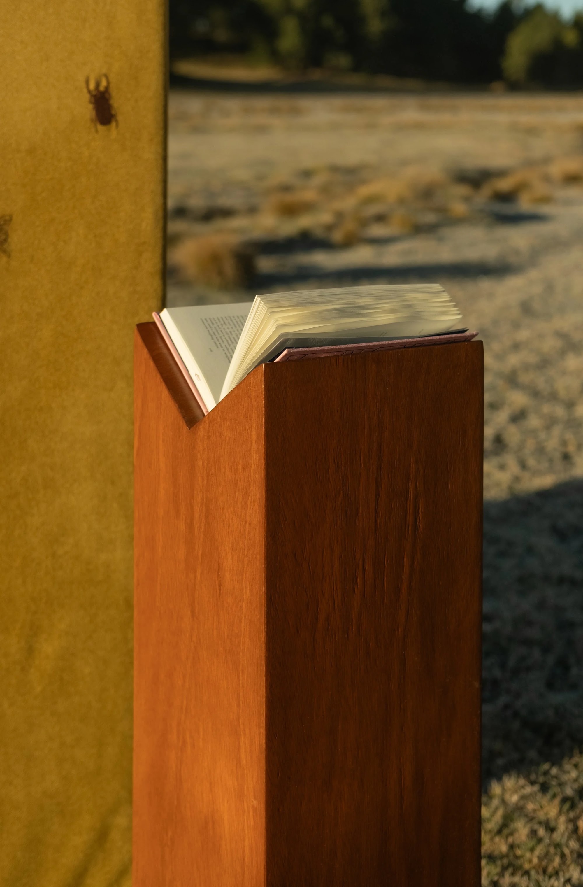 Totem #2 for book