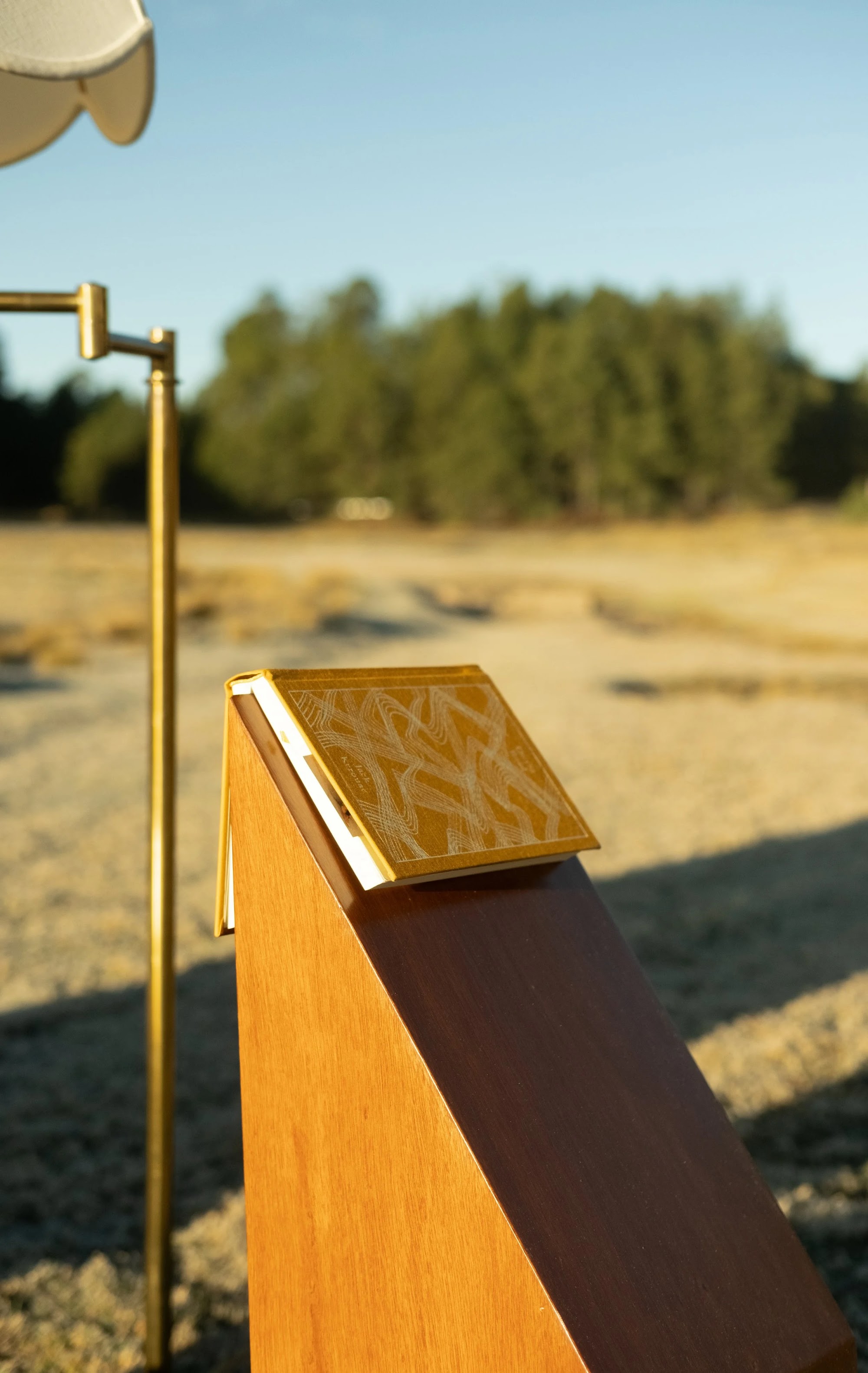 Totem #2 for book