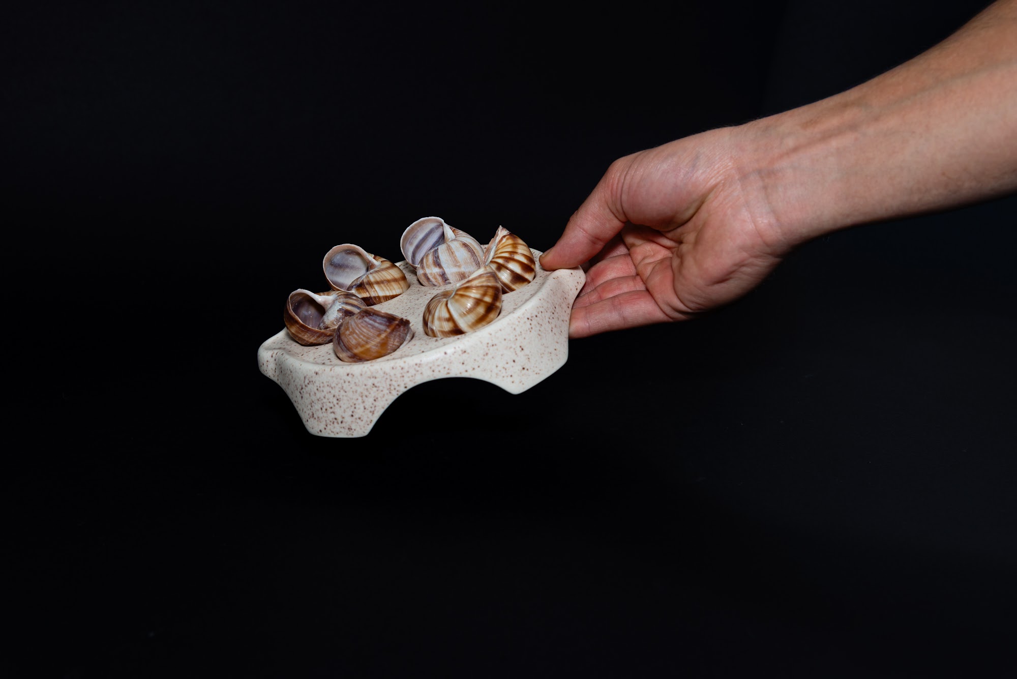 Plato Escargot