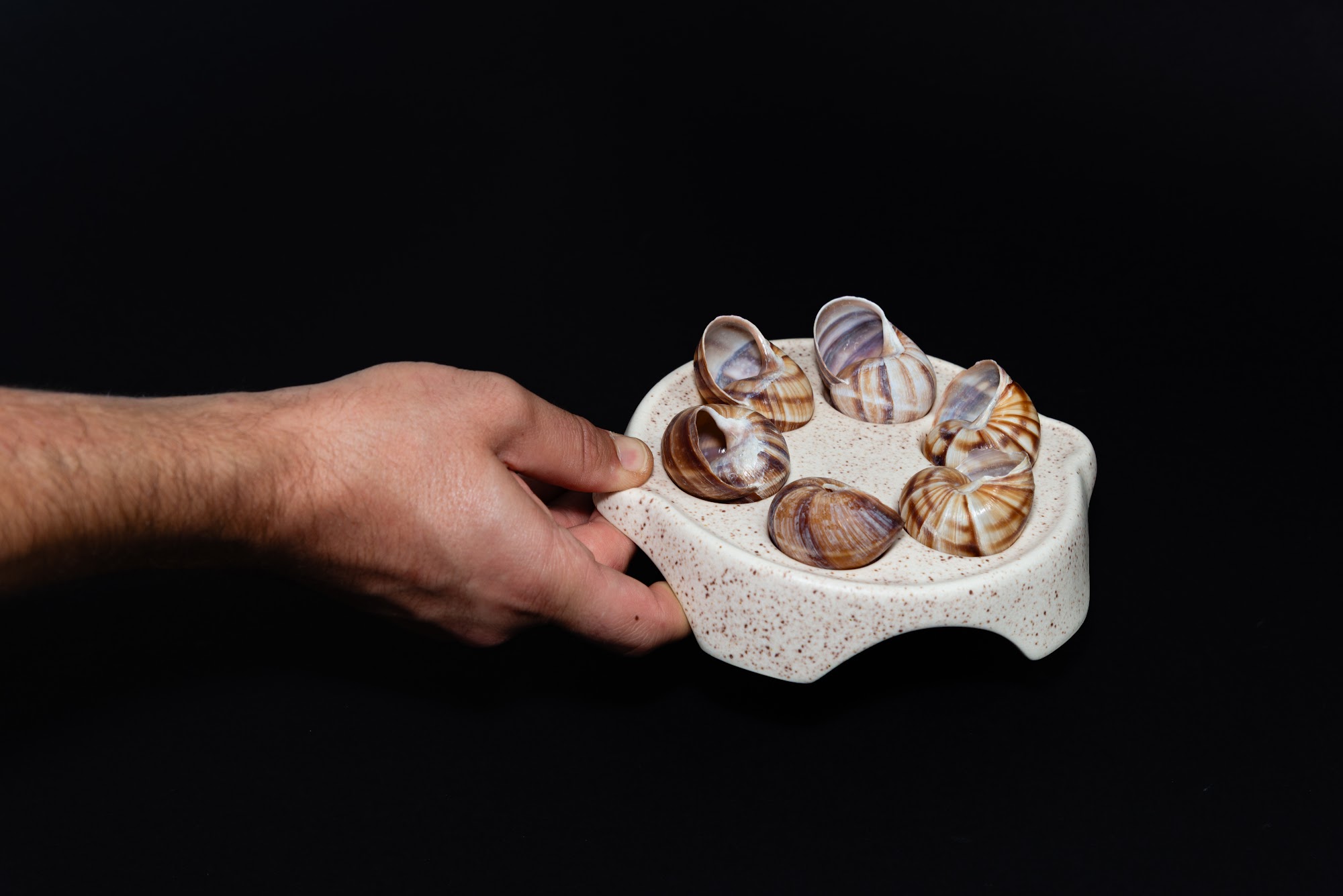 Plato Escargot