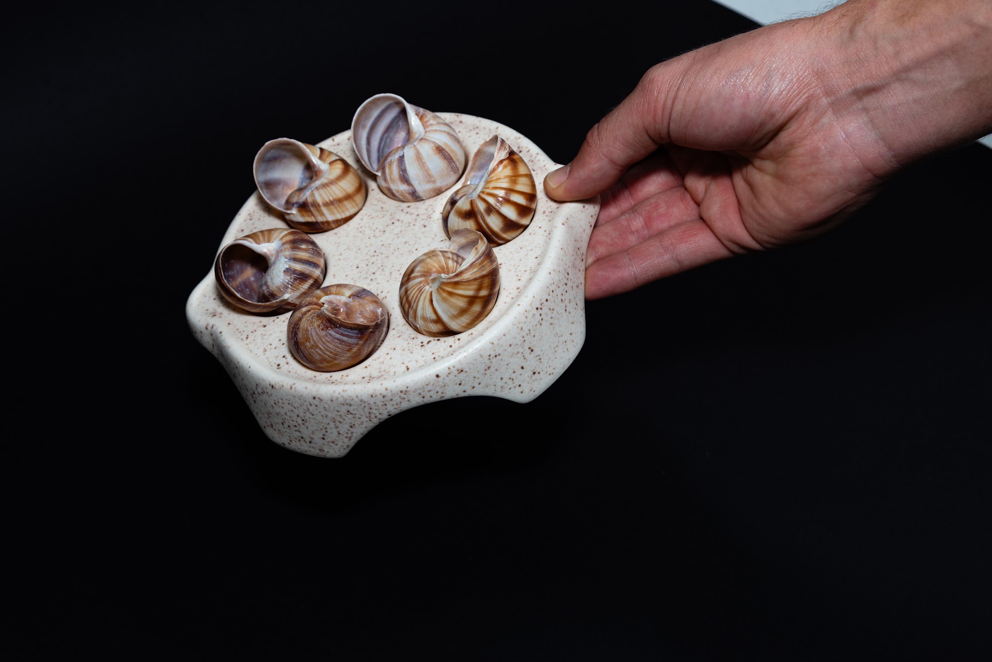 Plato Escargot