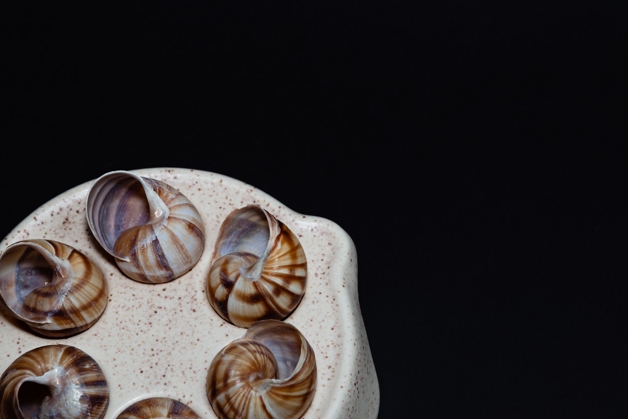Plato Escargot