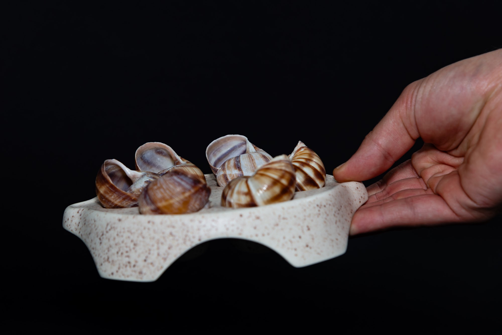Plato Escargot