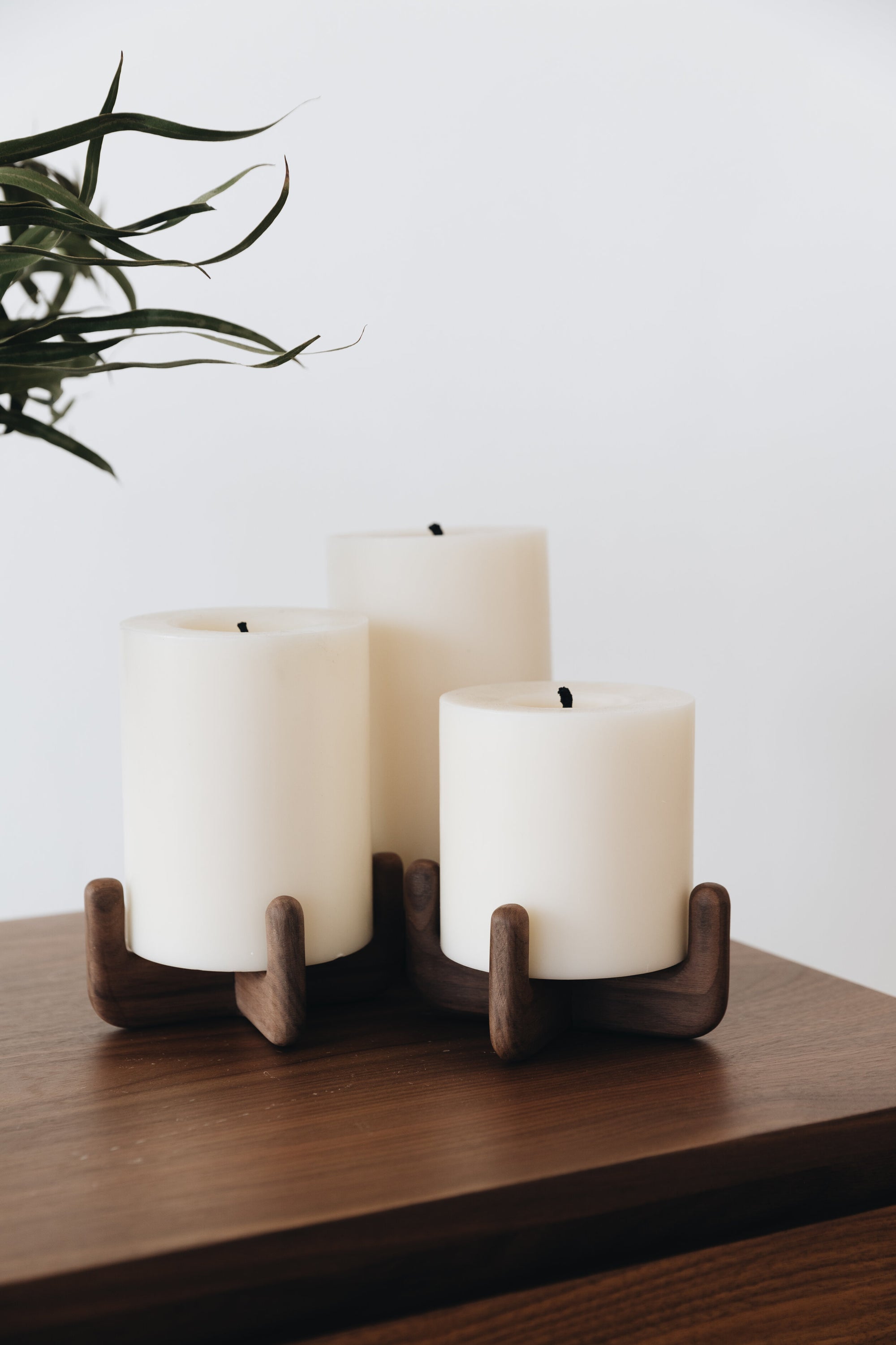 Velas Fenix