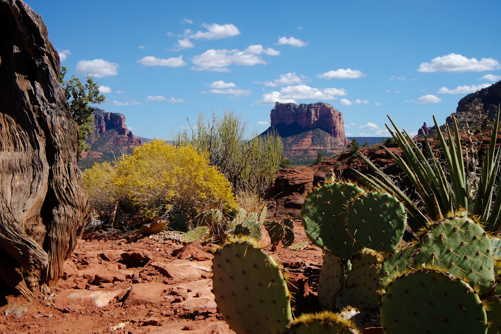 General practitioner in Goodyear, Arizona