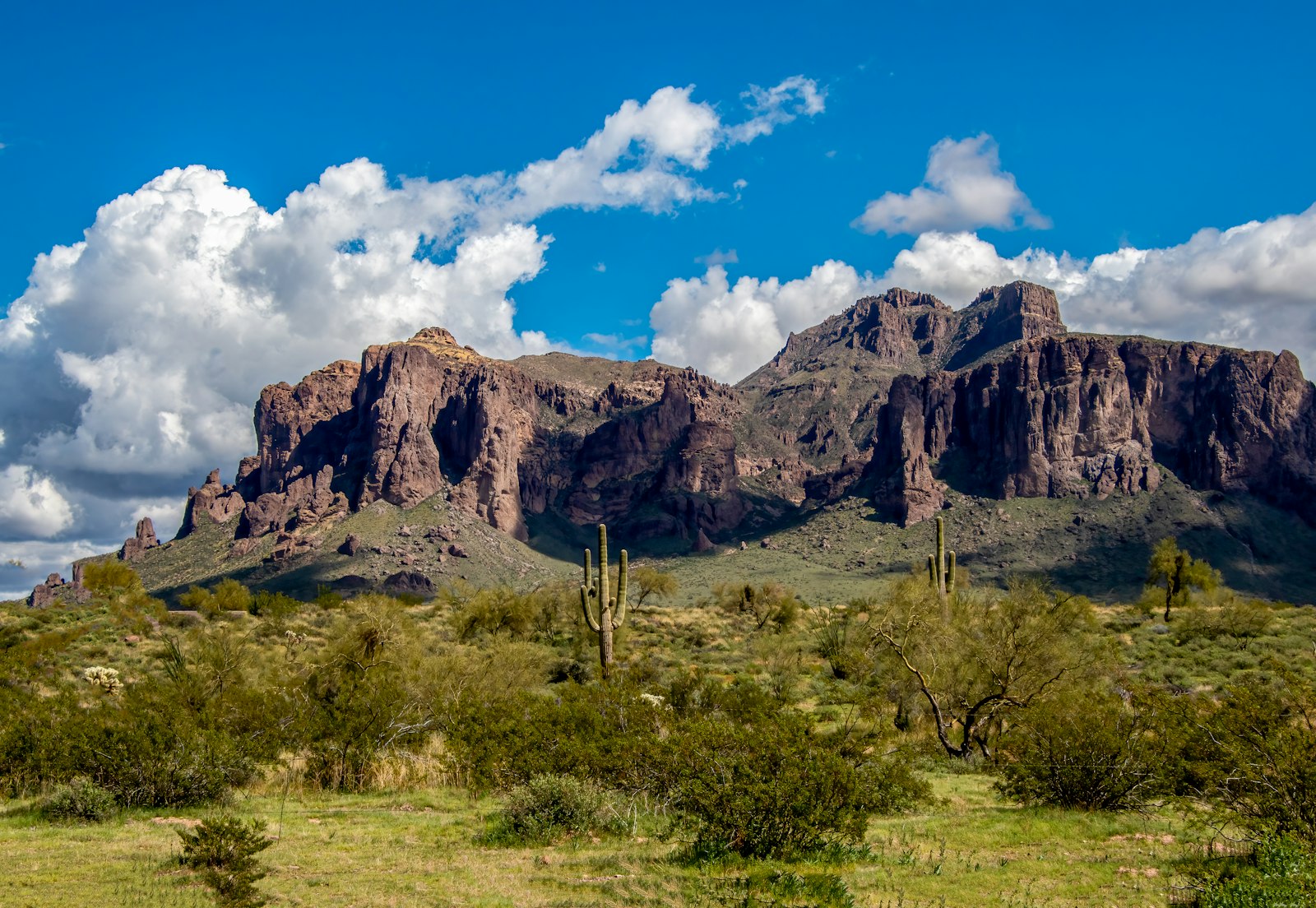 IUD removal in Gilbert, Arizona