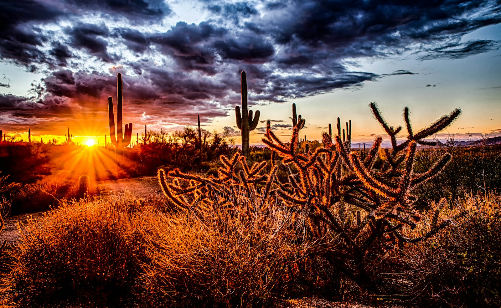 Family practice in Gilbert, Arizona