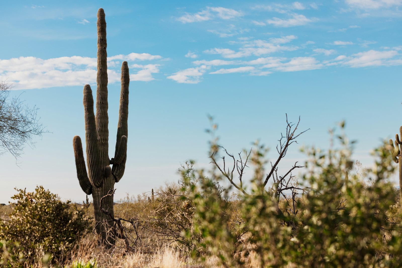 Primary care in Peoria, Arizona