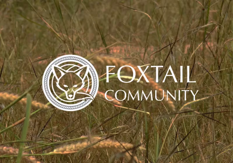 Foxtail community homes by Architerra Homes