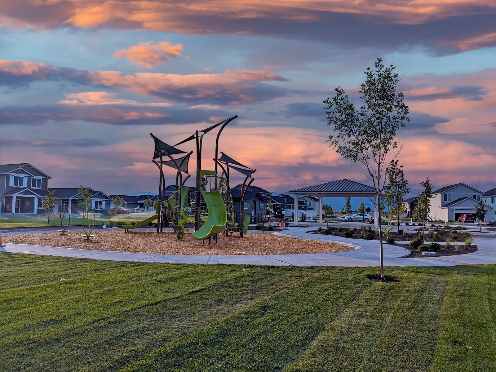 Craftsman streetscape of homes at The Parkllyn at golden hour