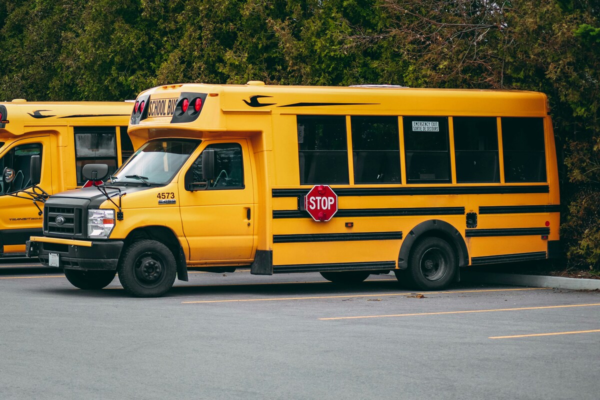 Yellow school buses parked side by side in a lot, each equipped with a prominent stop sign on the side.