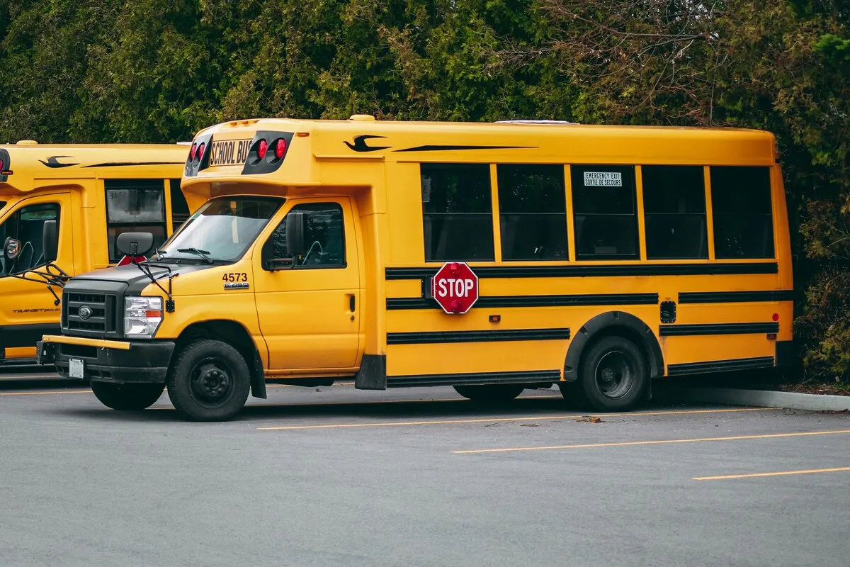 Yellow school buses parked side by side in a lot, each equipped with a prominent stop sign on the side.