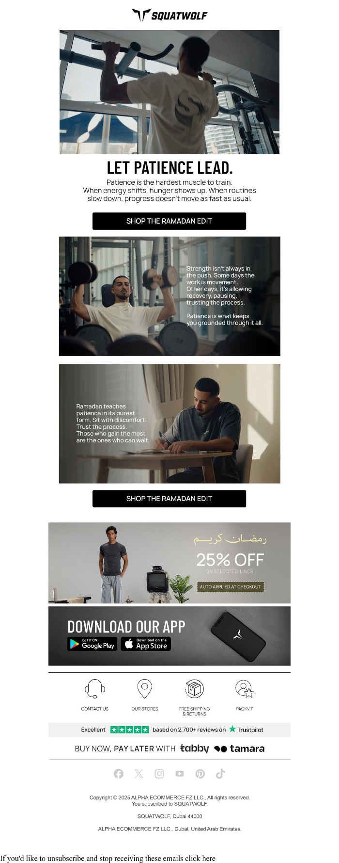 Squatwolf — after AuraSeed welcome email design