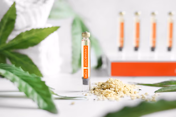Eine Ampulle mit Cannaboost TDR, Hanfsamen und Hanfblättern auf weißem Untergrund.