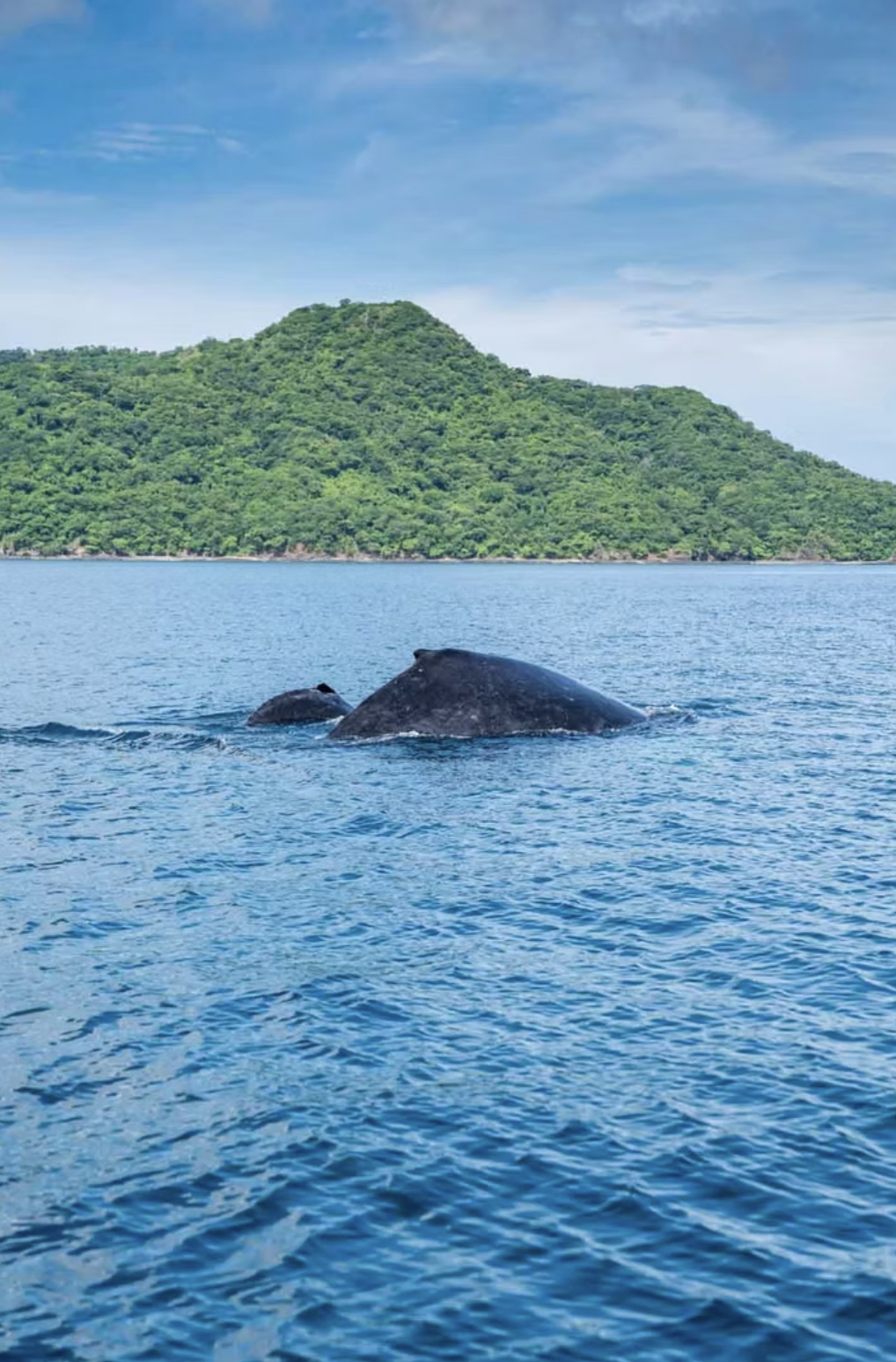 Private Guanacaste experience