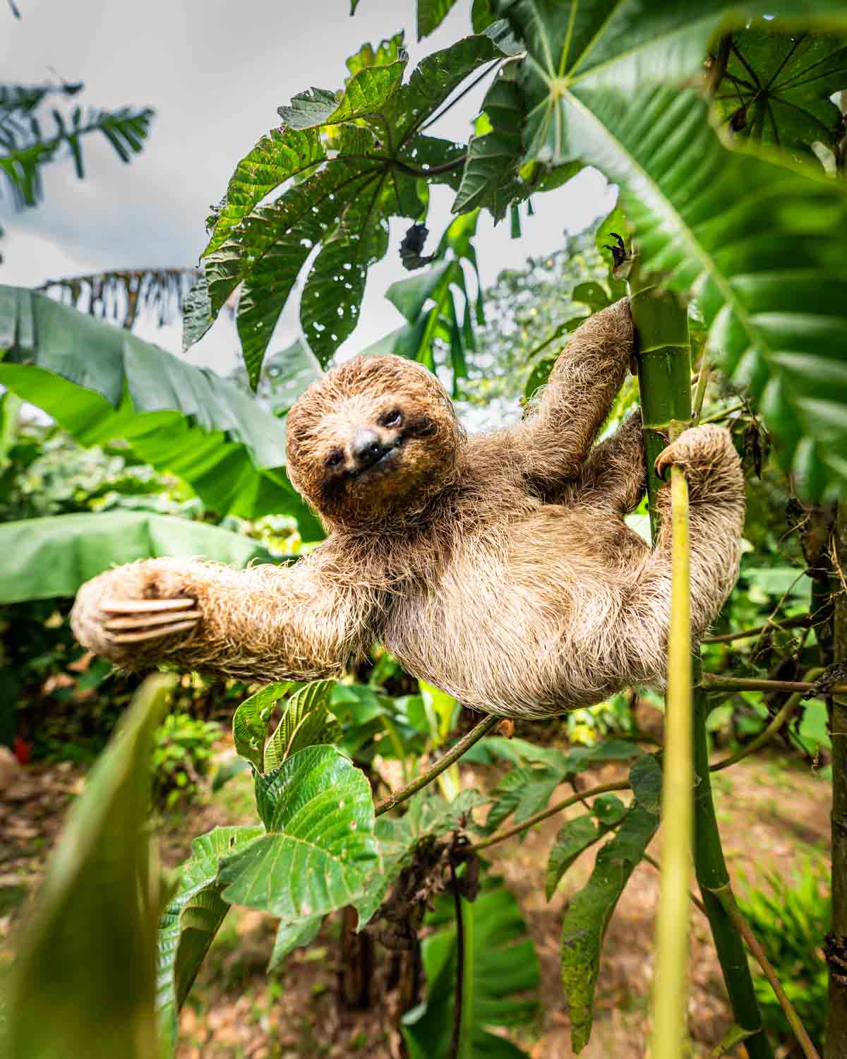Private wildlife encounter in Guanacaste, Costa Rica