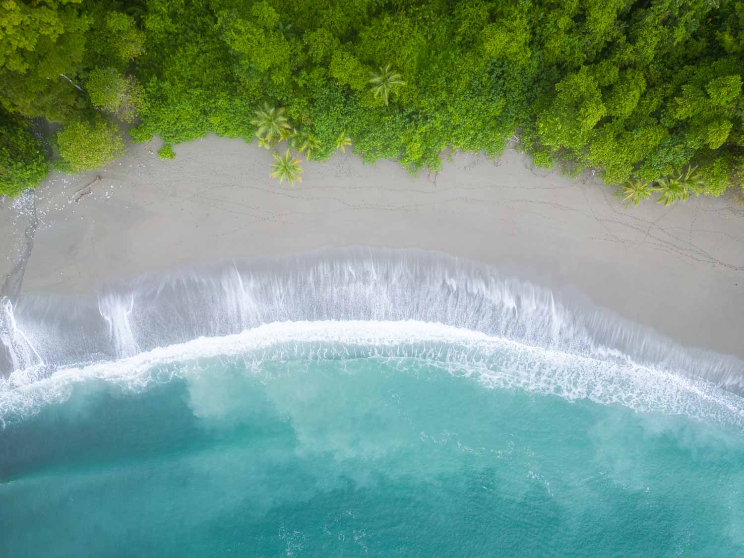 Private Guanacaste adventure with Mario