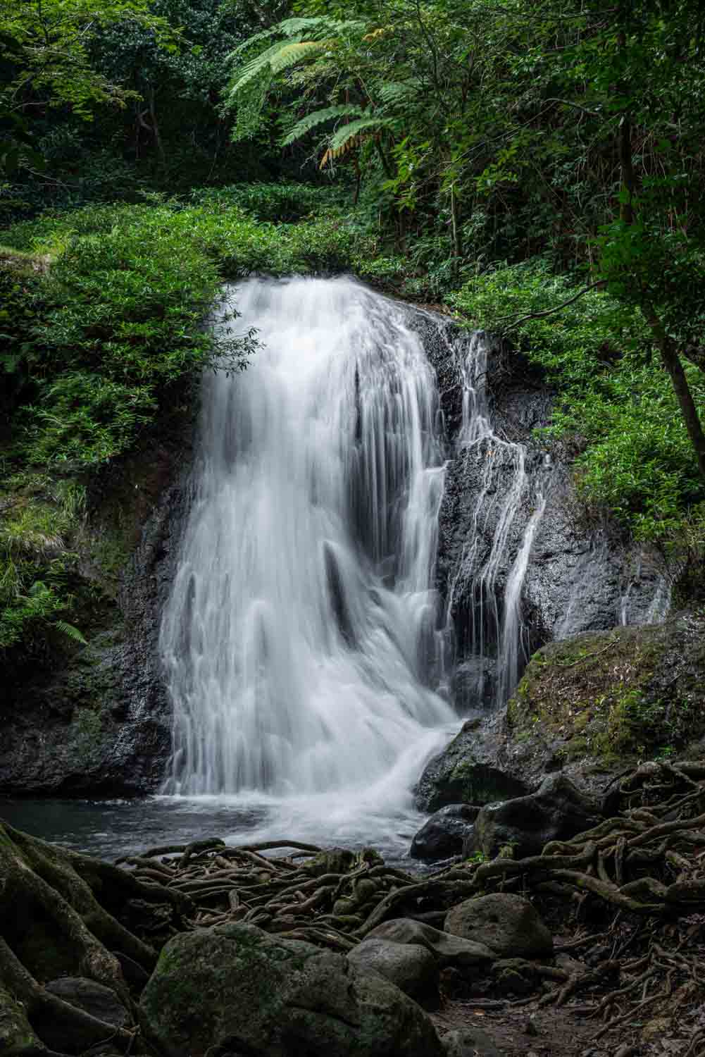 Waterfall surrounded by tropical jungle in Costa Rica
