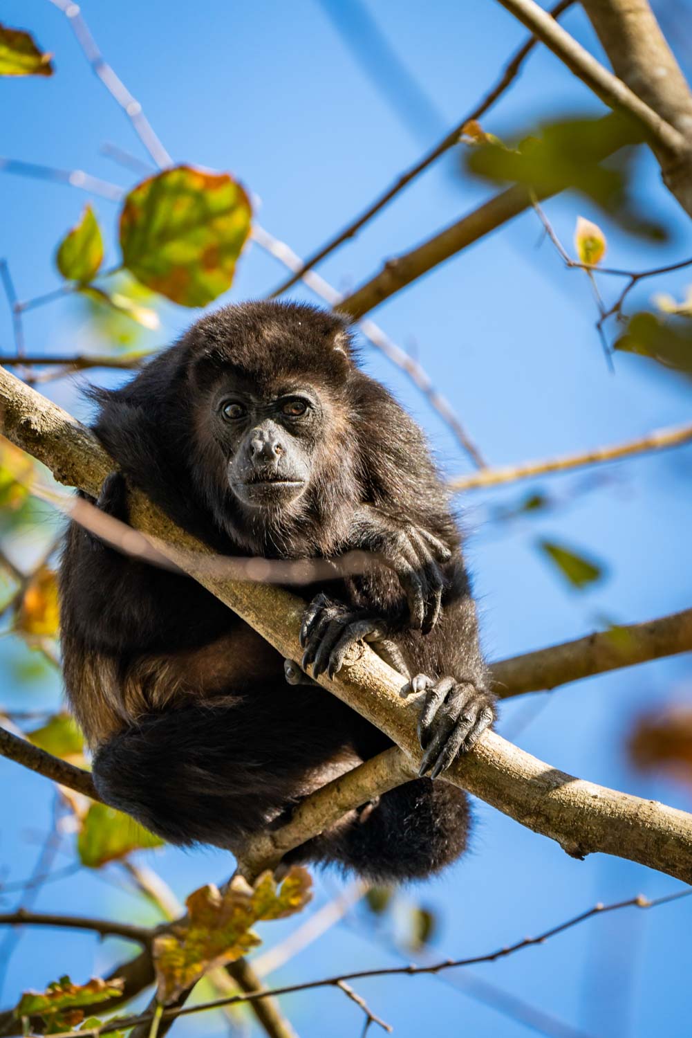 Private scenic adventure in Guanacaste