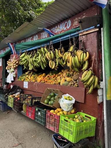 Local artisan or family-run business in Guanacaste