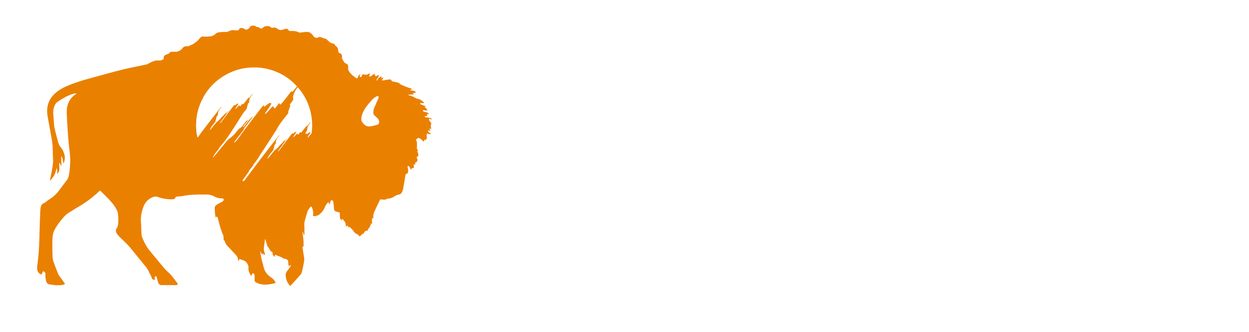 Flatirons Academy