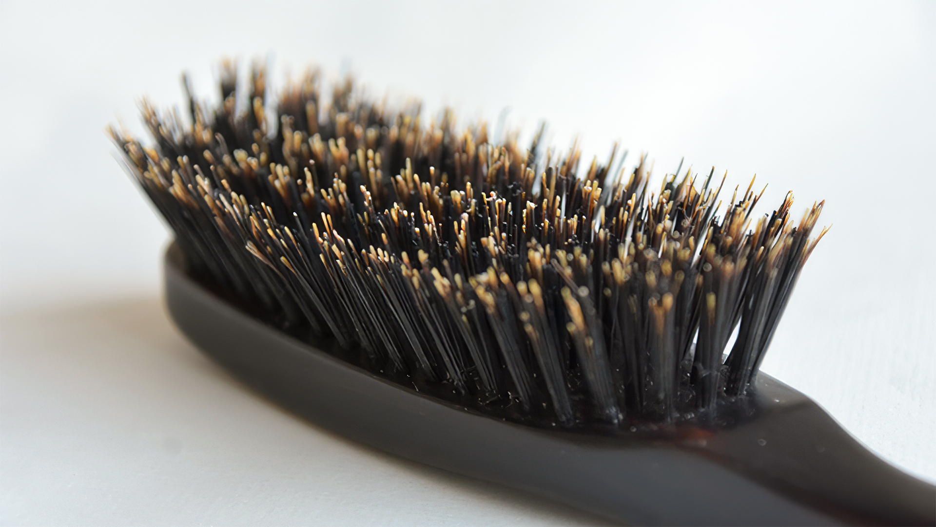 Edo brush
