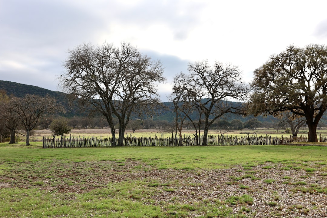 Texas Hill Country in spring