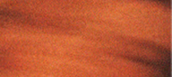 Close-up of textured brown surface with subtle color variations.