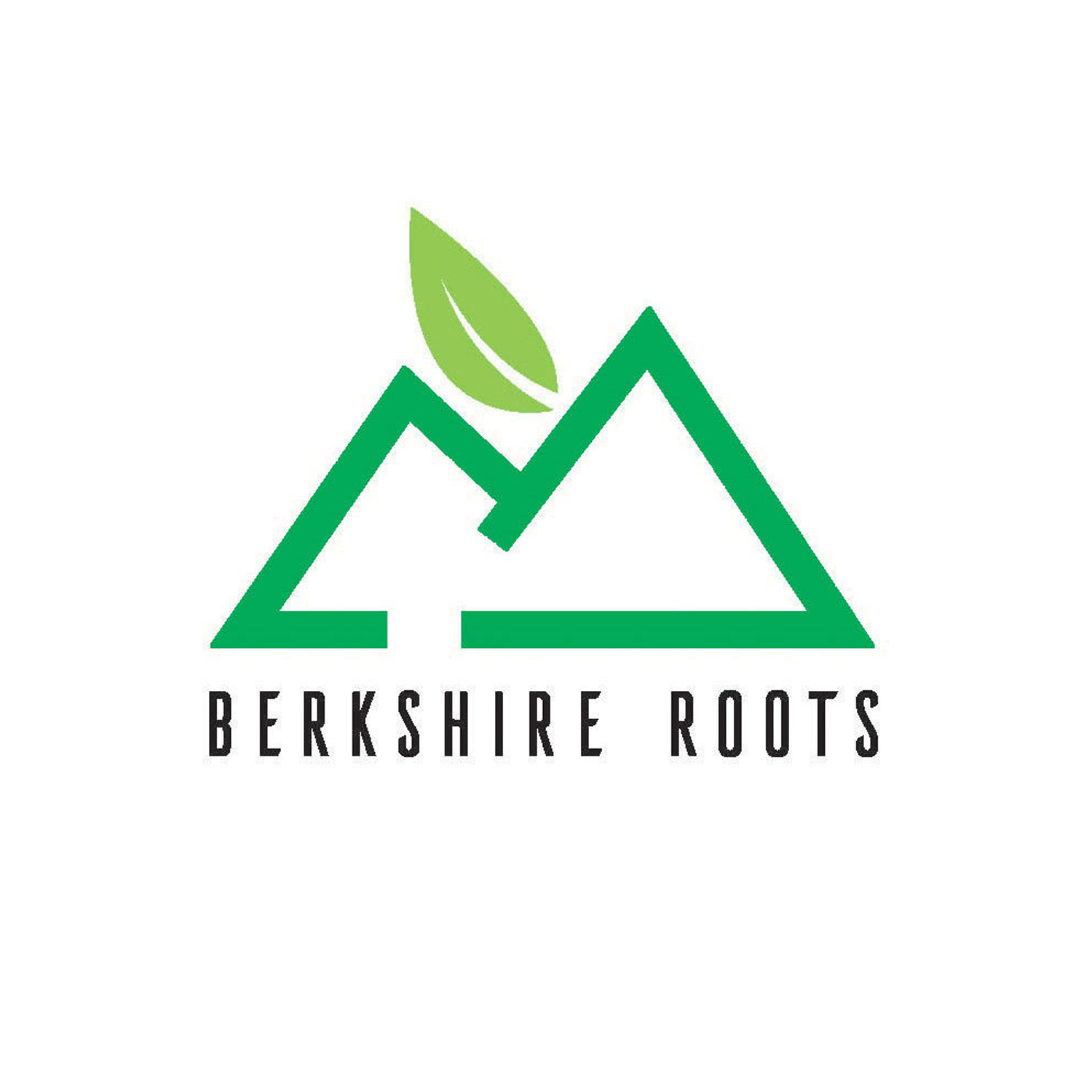 The logo for Berkshire Roots