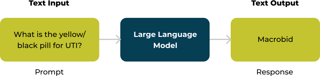 Diagram: how large language models process and generate clinical text
