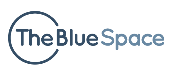 Logo of The Blue Space. The text "The Blue Space" is written in blue with a circular outline partially enclosing the words "The" and "Blue" from the left side. The font is modern and sans-serif.