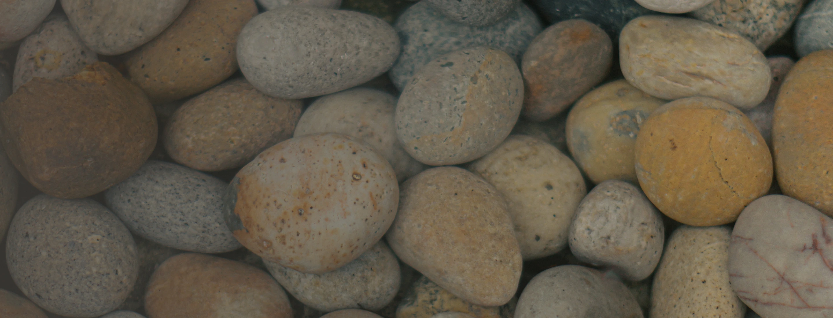 Close-up of assorted smooth river stones in various shades of brown, gray, and tan.
