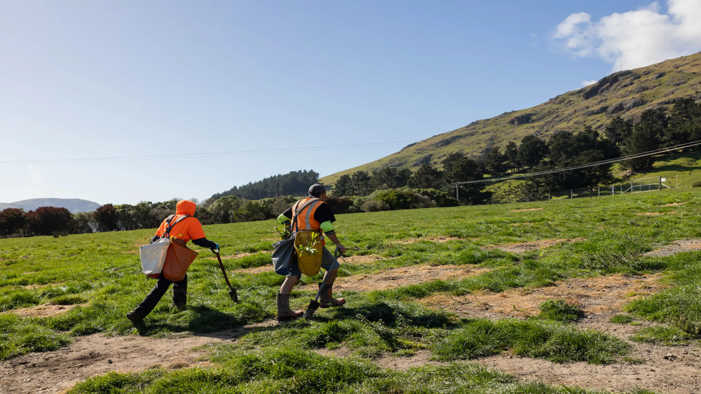Native tree planters walking across Purau Woodland