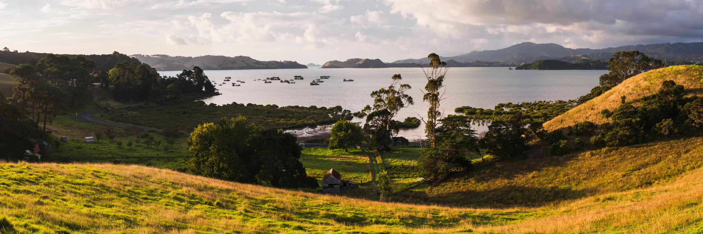 Panoramic view across rural Coromandel countryside to the harbour