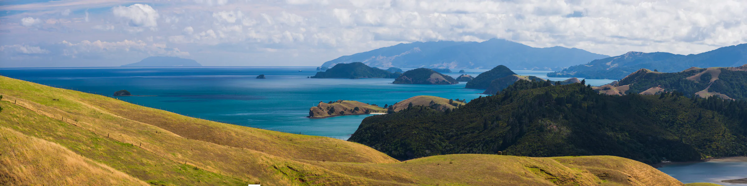 Panoramic view across golden hills to the Coromandel Peninsula coast