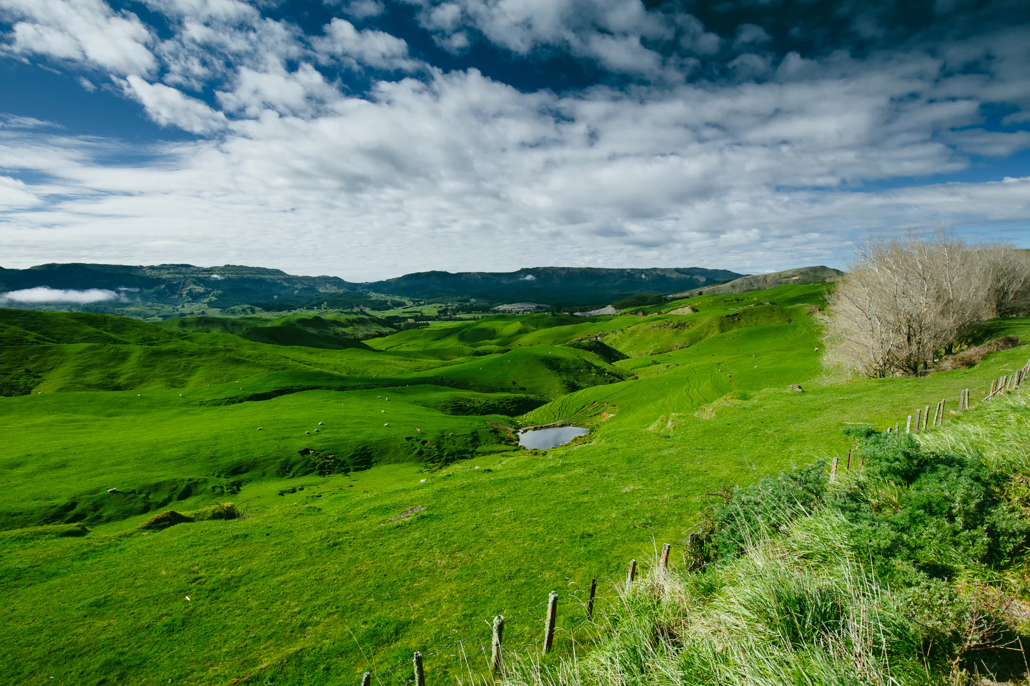 Green rolling hills and a small stream beneath a dramatic sky