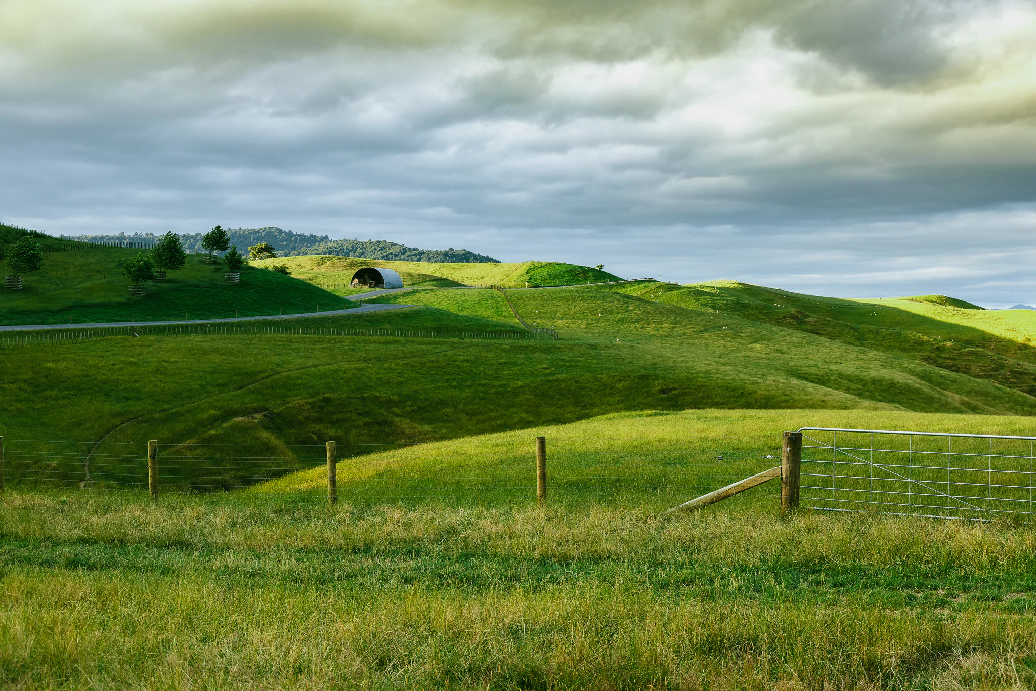 Rural green hills and fence line beneath an overcast sky