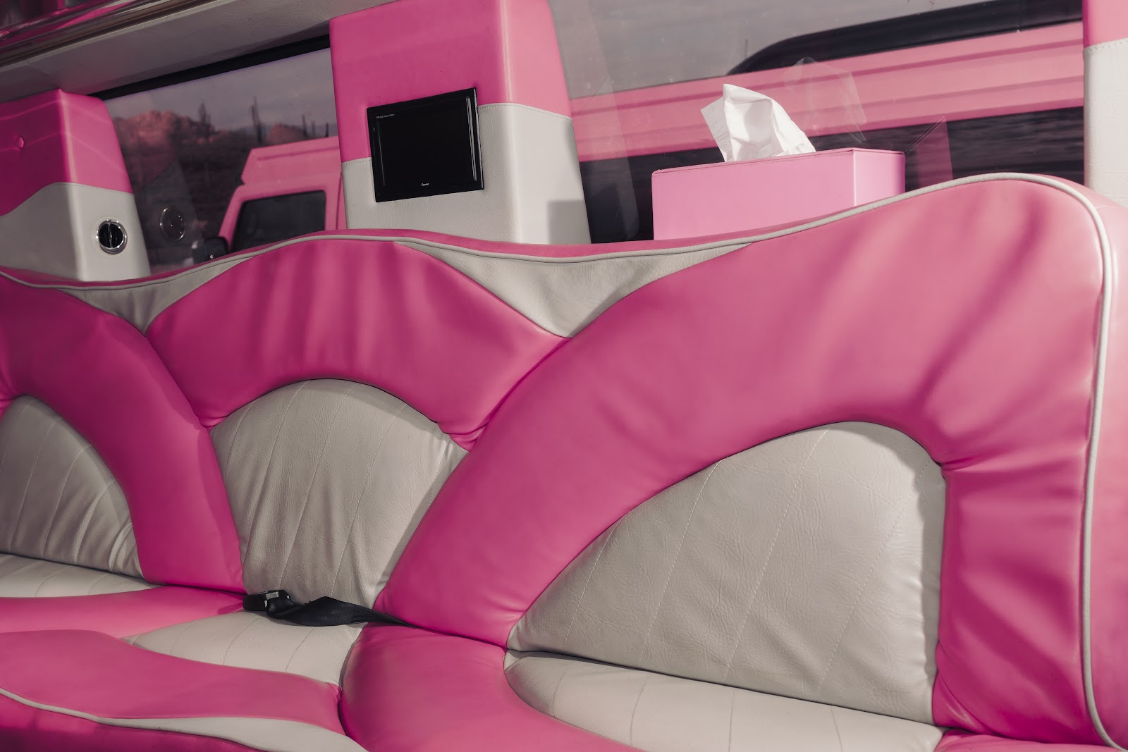 Pink limousine photo