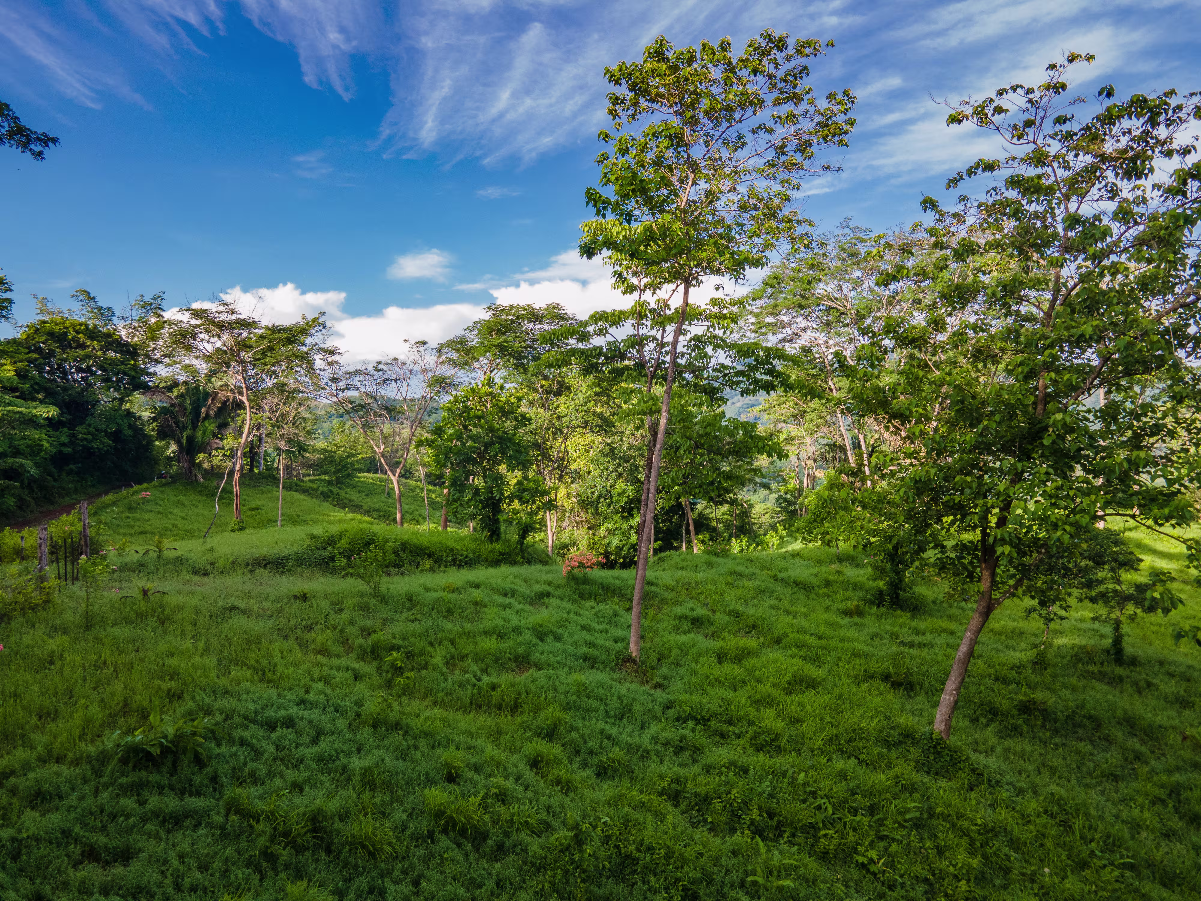 Tropical landscape surrounding custom homes in Guanacaste, Costa Rica