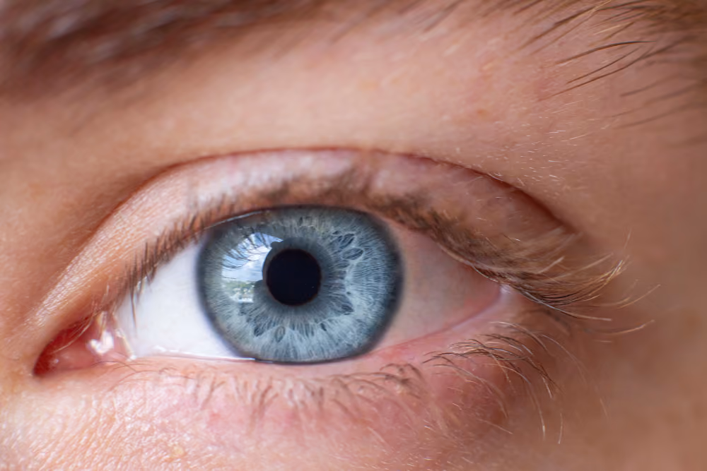 Close-up of a healthy eye with a clear tear film