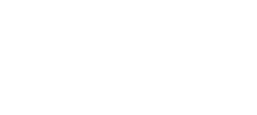 Orginal Logo