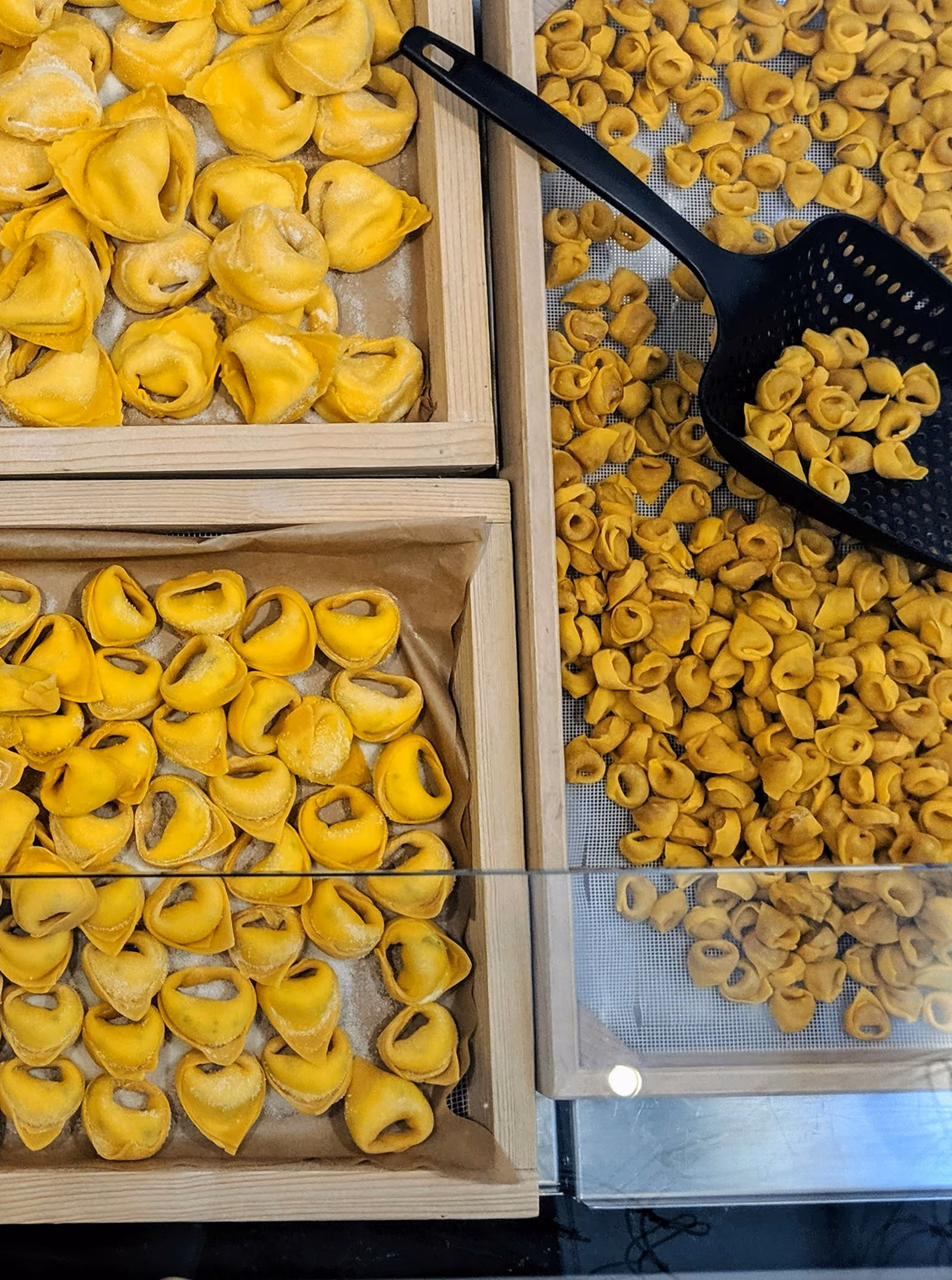 Dettaglio di tortellini bolognesi artigianali fatti a mano esposti in una bottega tipica.