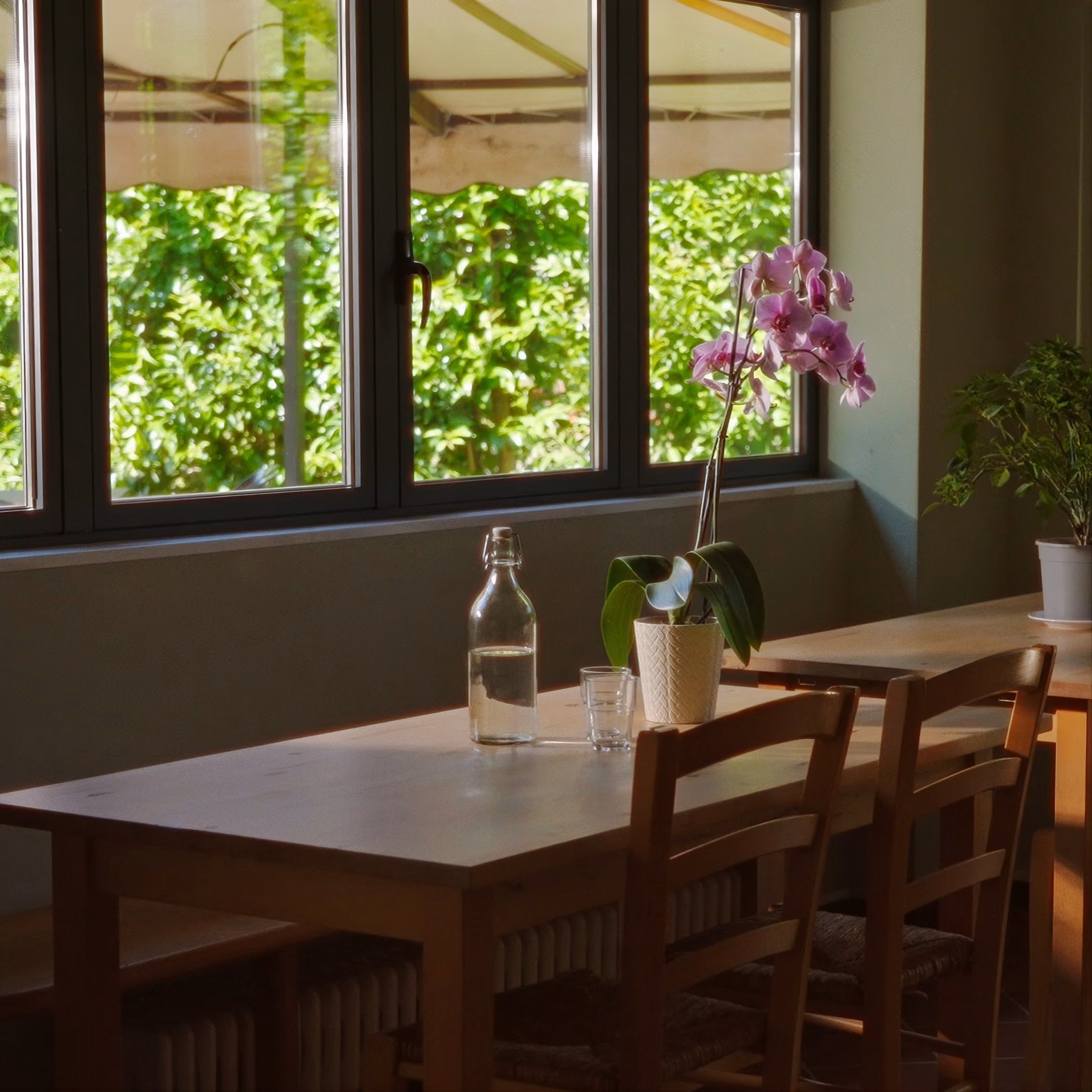 Sala comune interna con lunghi tavoli in legno e ampie finestre con vista sul parco.