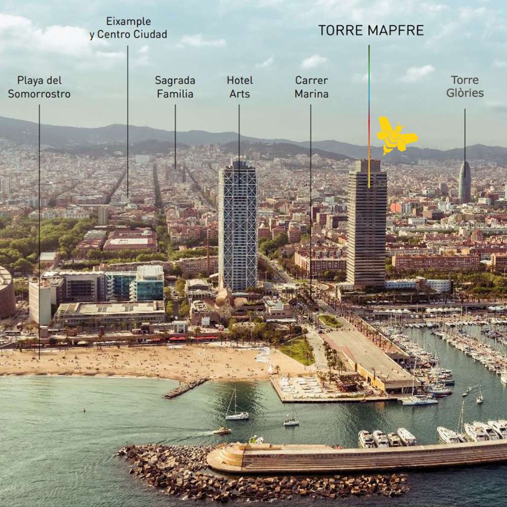 BeeBase Office Barcelona mit Blick auf die Torre Mapfre