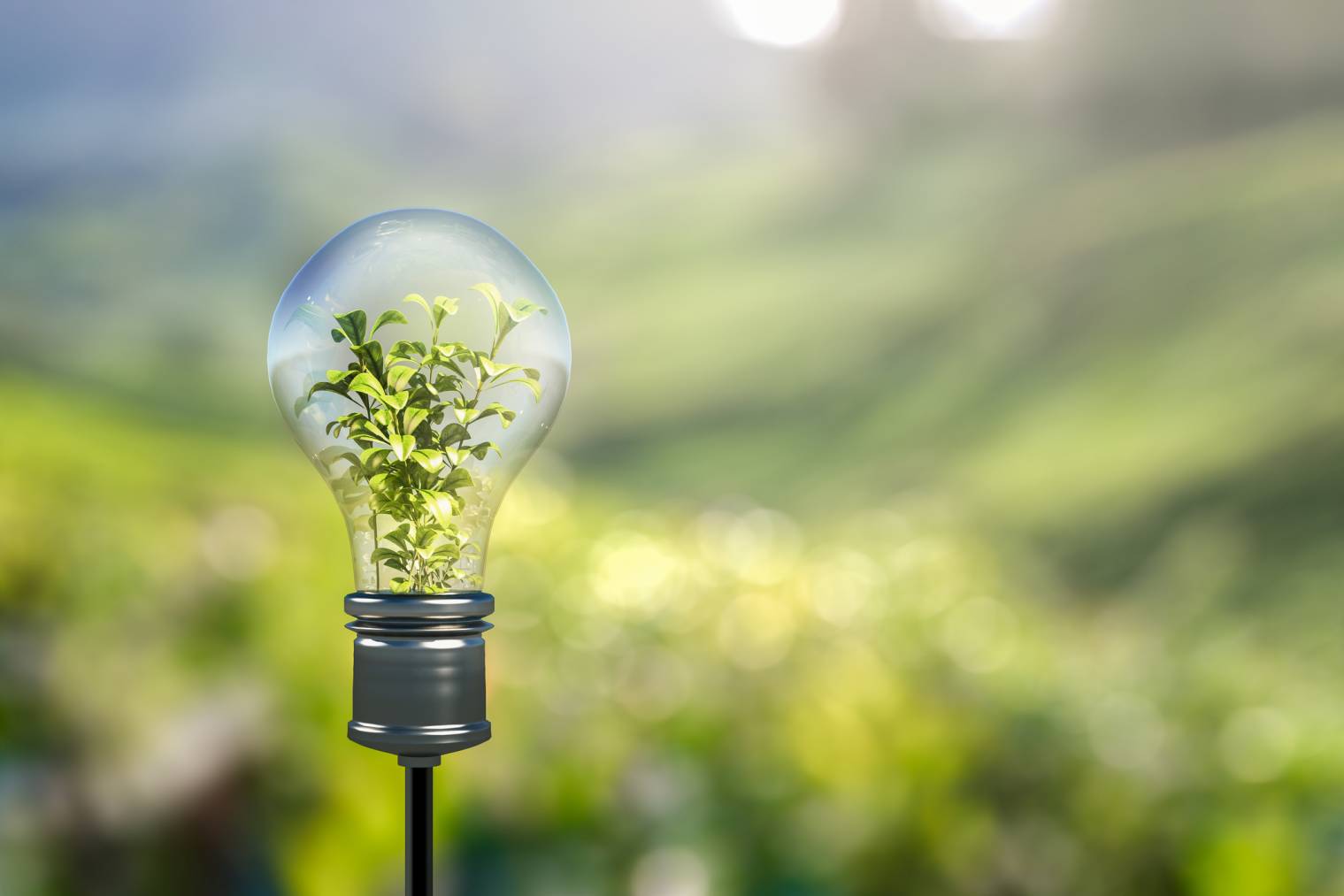 industries normes écologie